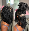 Twits Braids Individual